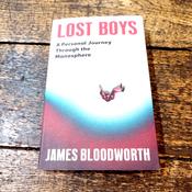 Lost Boys: A Personal Journey Through the Manosphere image