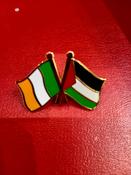 Ireland Palestine Solidarity Badge