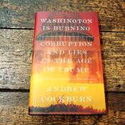 Washington Is Burning image