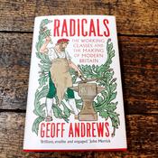 Radicals:The Working Classes and the Making of Modern Britain image