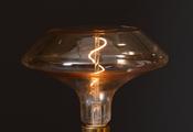 Replacement Forager Bulb image