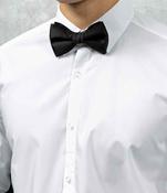 Bow Tie (PR705) image