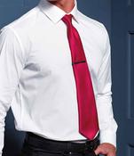 Fashion Satin colours Tie image