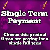 Single Term Payment - Term 1 image