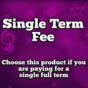 Single Term Payment - Term 3