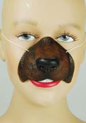 Dog Nose
