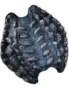 Perseus Shield