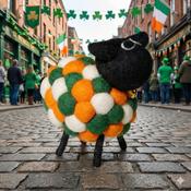 Handmade Felt Sheep Paddy With Black Head Ornament Farm Animal Irish Flag Colours - Cosy Life Ireland