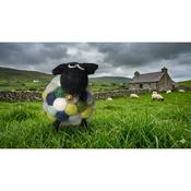 Handmade Felt Green Multicoloured Sheep Liam With Black Head Ornament Farm Animals - Cosy Life Ireland