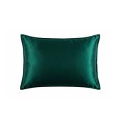 Mulberry Silk Pillowcase with Hidden Zipper Standard Size Emerard Green image