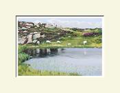 Inishcoo, Donegal Islands image