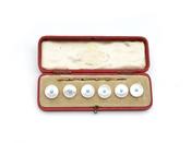 Antique Mother of Pearl &amp; Turquoise Button Set image