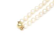 Cultured pearl necklace with 18kt yellow gold clasp image