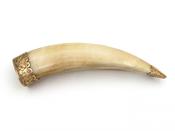 Antique Boar's Tusk Talisman Brooch in 9kt Yellow Gold image