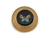 Victorian circular pietra dura butterfly brooch in 18kt gold image