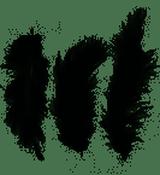 Feathers Black image