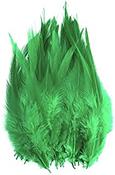 Feathers Green image