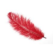 Feathers Red image