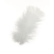 Feathers White image