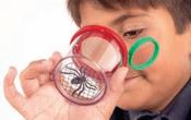 61006 Bug Viewer image