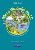 9780714415666 What a Wonderful World Book 3 CJ Fallon - Craftyart