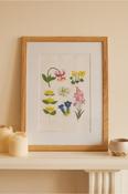 DMC THE MEADOW FLOWERS CROSS STITCH KIT BK1952