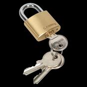 Sealey PL100 Brass Body Padlock 30mm image