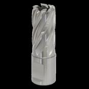 Sealey RBHSS17S Rotabor Cutter HSS Ø17mm - Cut Depth 25mm image