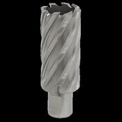 Sealey RBHSS30L Rotabor Cutter HSS Ø30mm - Cut Depth 50mm image