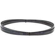 SIP 09430 16" Wood Cutting Bandsaw Blade (3345 x 20mm 6TPI) image