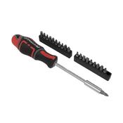 Sealey AK4329 Screwdriver &amp; Bit Set 21pc GripMAX® image