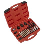 Sealey SX402 Alternator Freewheel Pulley Removal Set 18pc image