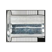 Sealey TIRM10 Threaded Insert (Rivet Nut) M10 Regular Pack of 50 image