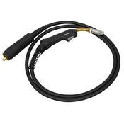 Sealey MIG/T25 MIG Torch with 3m Euro Connector MB25 image