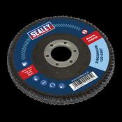 Sealey FD100120 Flap Disc Zirconium Ã˜100mm Ã˜16mm Bore 120Grit image