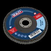 Sealey FD10080 100mm Zirconium Flap Disc 80Grit 16mm Bore image