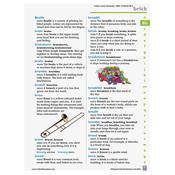 Collins Primary Dictionary