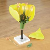 3D Flower Model With Detachable Parts