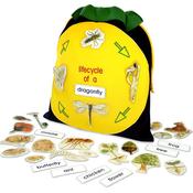 Class Life Cycle Bag