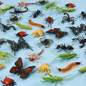 Minibeasts Pack 96pk