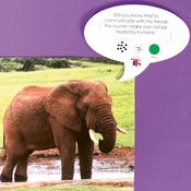 Talk-time A5 Recordable Speech Bubble