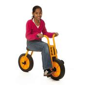 Large 2 Wheeler Bike - Set of 2