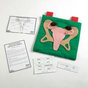 Reproductive Organ Display Vests Male