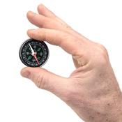 Deluxe Compass 10pk