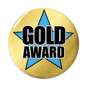 Reward Gold Silver Bronze Pin Badges