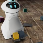 Oti-Bot Forklift Arms