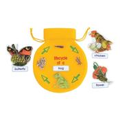Life Cycle Sequencing Bag