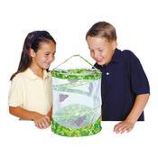 Butterfly Life Cycle Kit