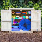 Physical Development