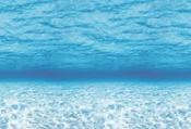 Fadeless Designs Ocean